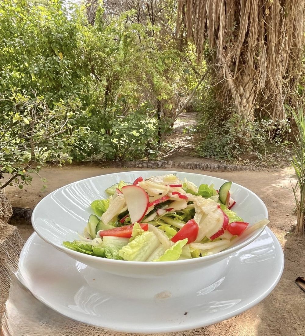 Alimentation méditerranéenne — Méthode Ere